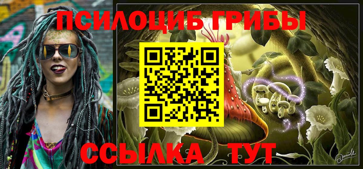 Великий Новгород  Псилоцибиновые грибы ЛСД  Вход с VPN  Псилоцибиновые грибы мицелий 